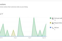 Google-My-Business-Customer-Actions