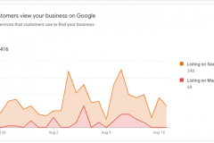 Google-My-Business-Customer-Insights