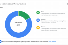 Google-My-Business-Customer-Search